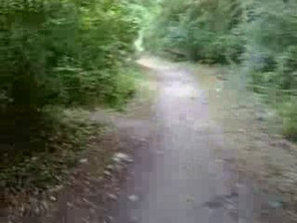 Paris, balade dominicale en foret sur Segway X2