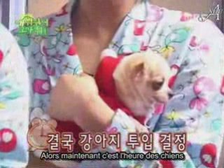 [Anou] SS501- waking us up épisode 1 2-2 [french subbed]