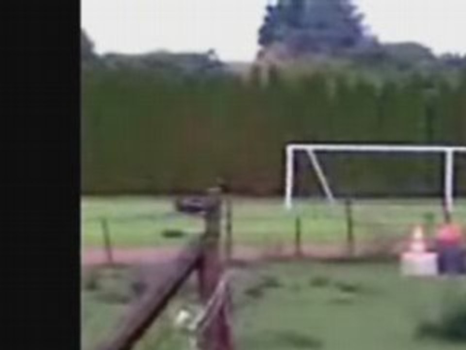 cheval saut