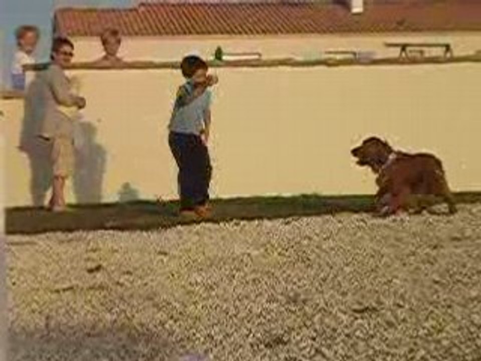 DSCN2238