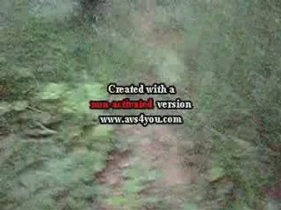 Vtt