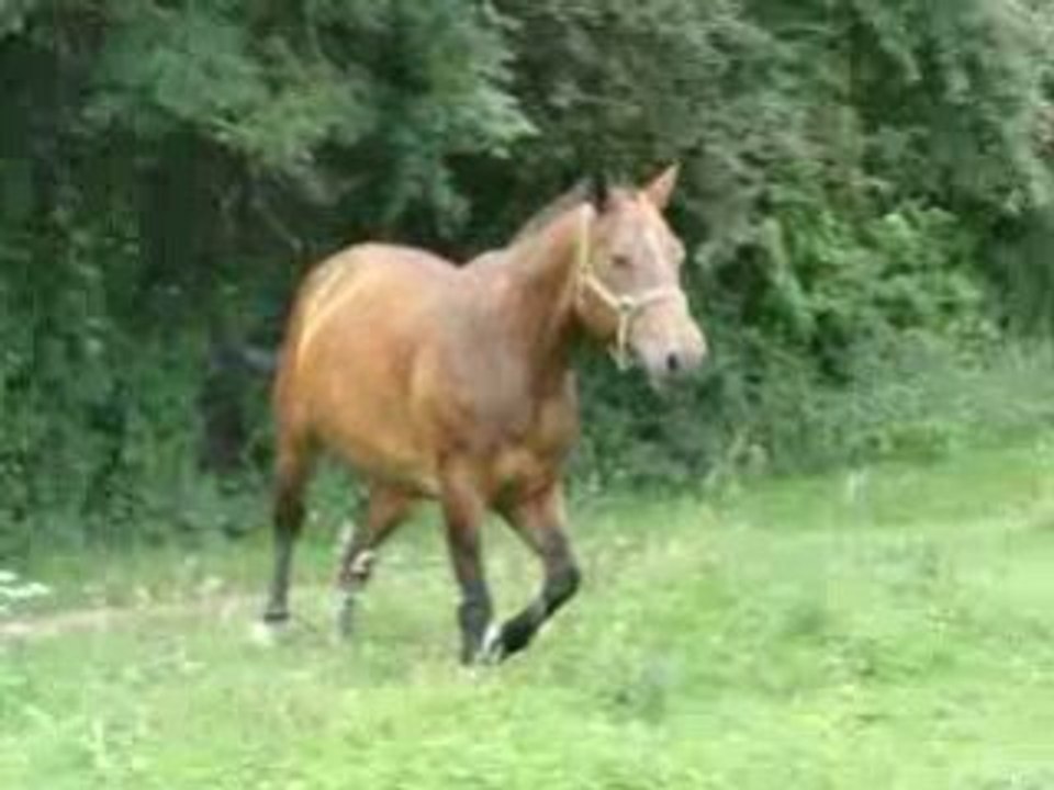 17 Aout 2008 (1)