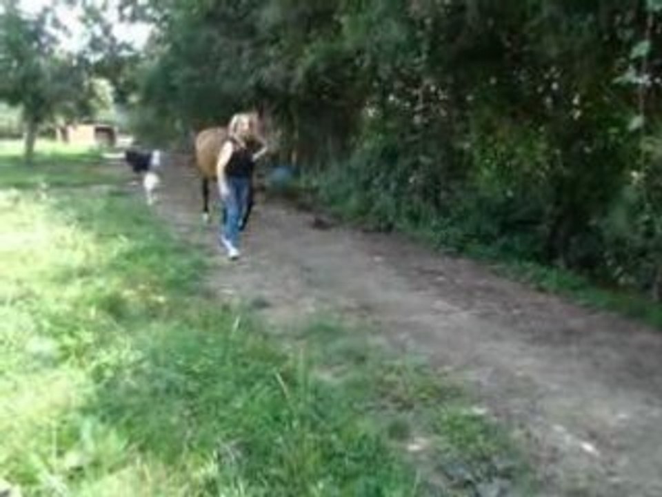 17 Aout 2008 (4)