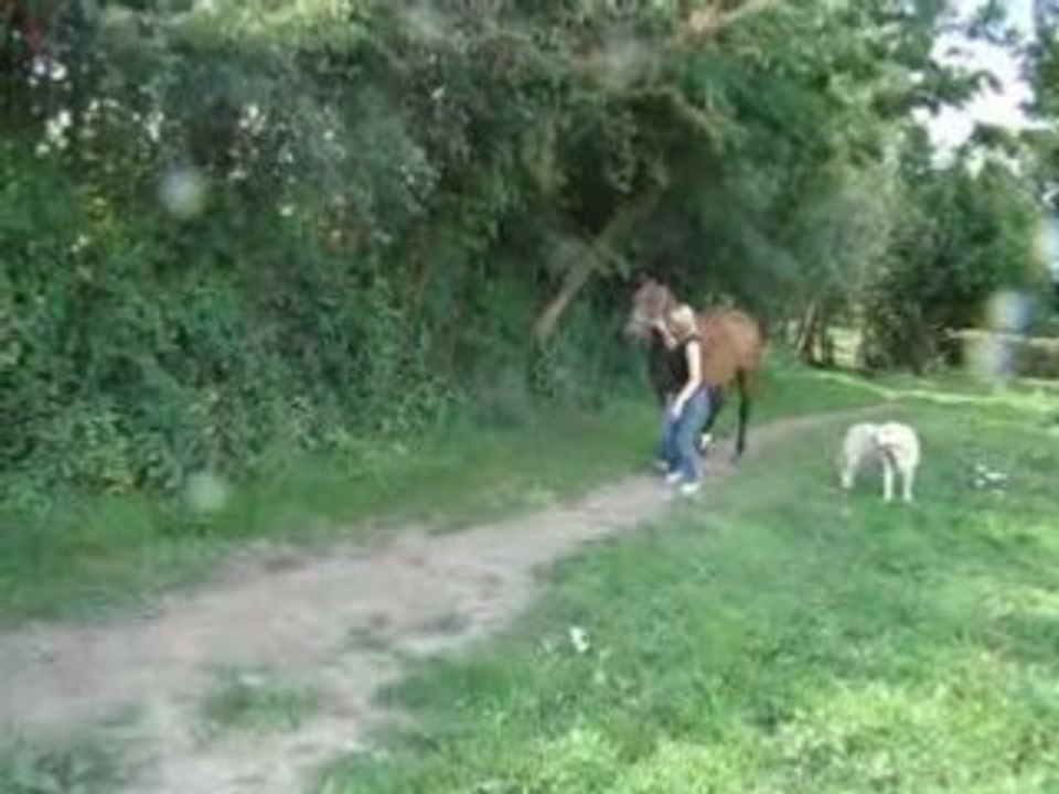 17 Aout 2008 (5)