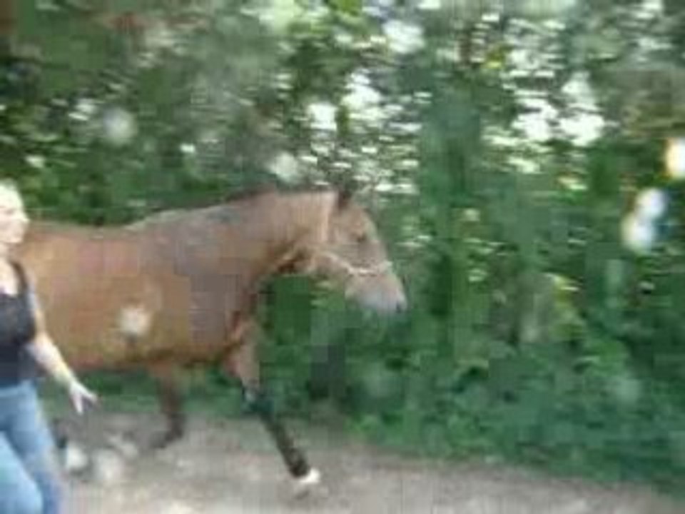 17 Aout 2008 (7)