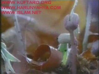 La sciences et le Coran