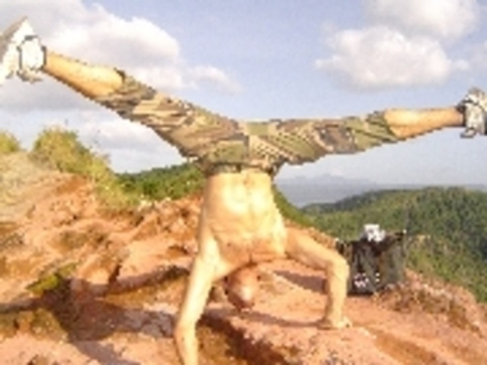 Demo Henry Aurelien acrobatic+High dive