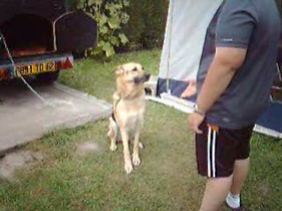 Journée camping 002