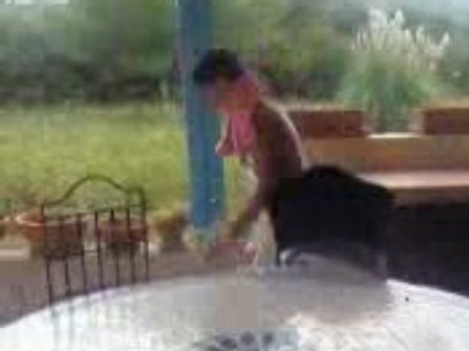 Arman balboa