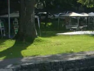 Les petits canards du Parc Des Chenaux