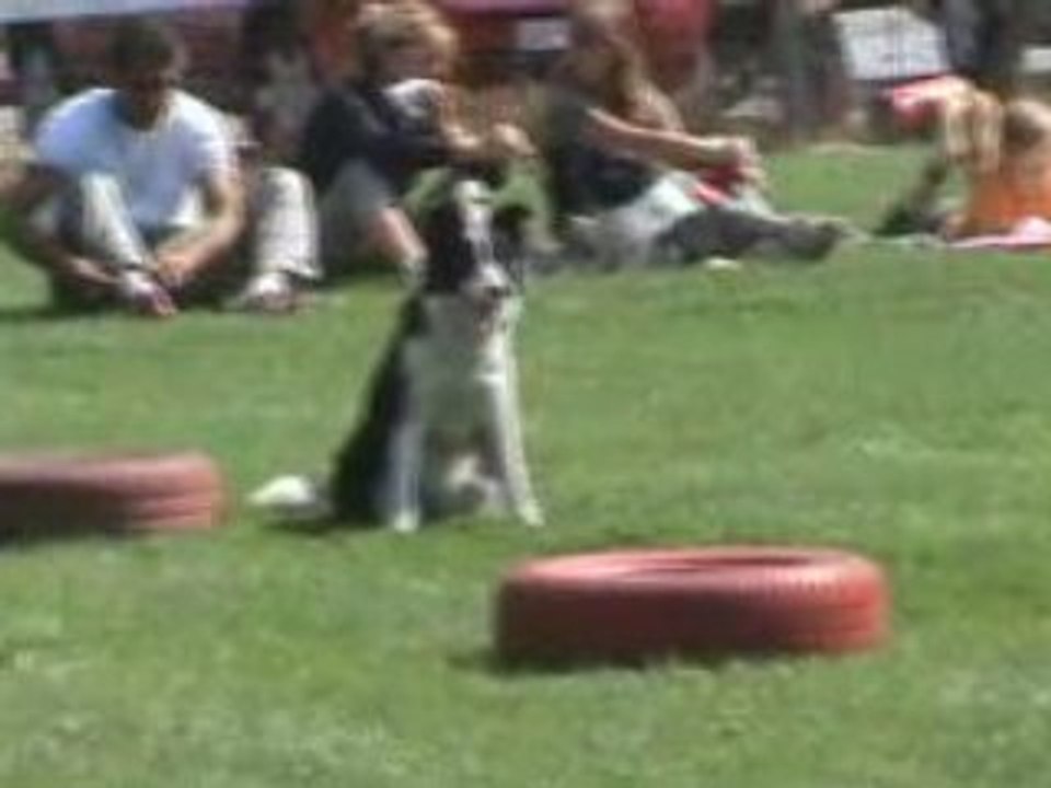 20080816120819