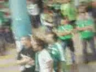 asse-sochaux kop nord