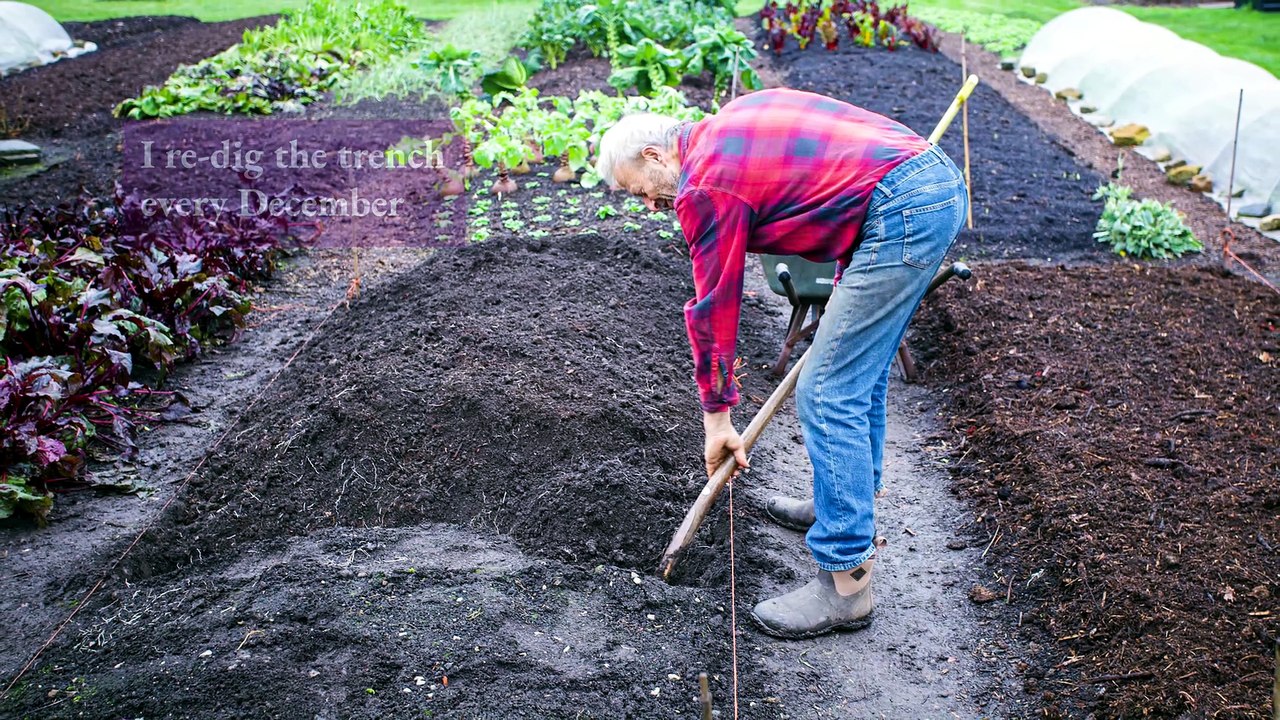 Affordable No Dig: More Food from the Same Compost - video Dailymotion
