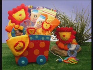 Baby Gift Baskets from www.kimsgiftbaskets.com