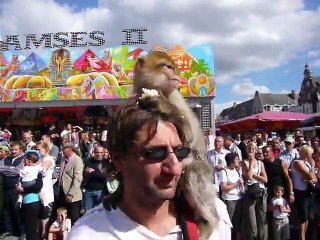 Cortège 15 août à Cambrai (8)