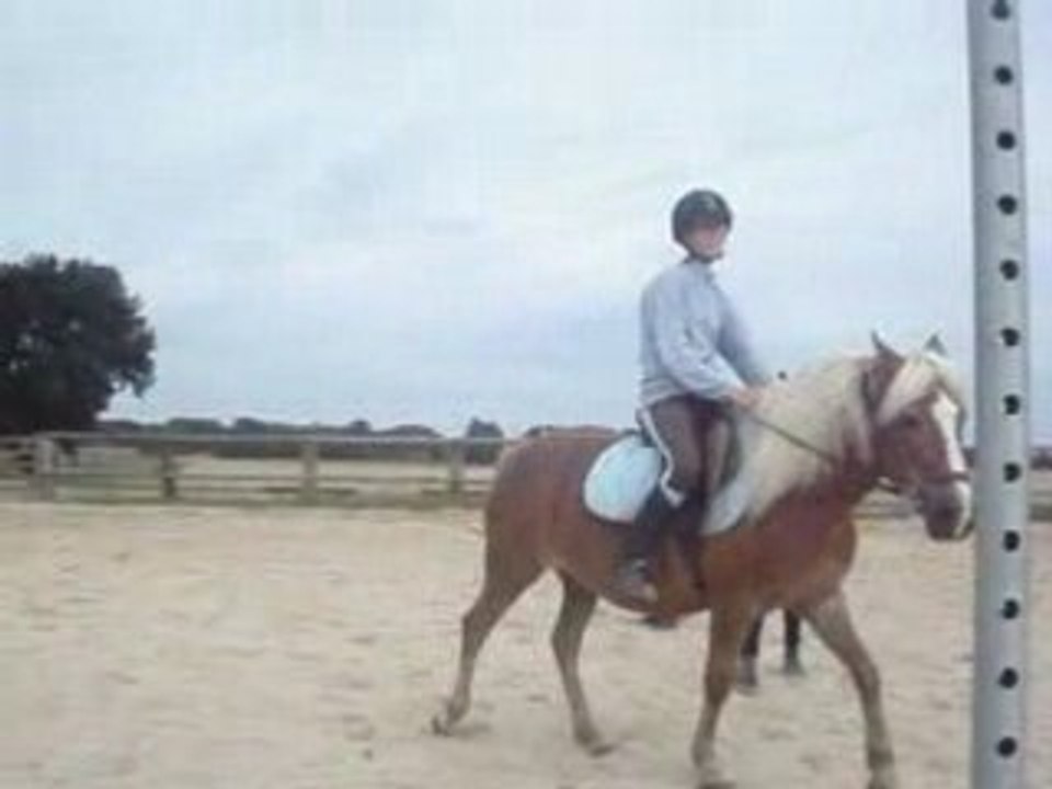 hihhii euh comment sa cour ! ! !