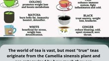 10 of the most popular and distinct tea types