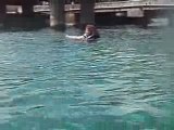 Swimming with Dolphins