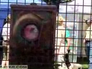 Art in the Park (Greeley Park), Nashua New Hampshire