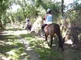 balade à cheval