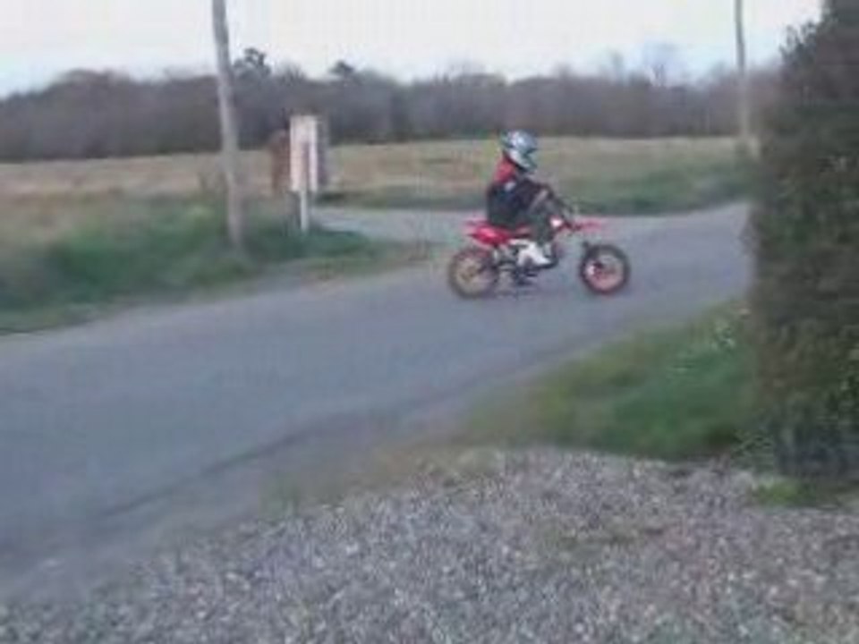 Weelig alex