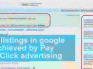 search engine optimization service New Zealand & Auckland