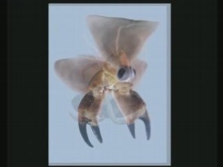 Découverte de l'Exposition 'Organismes 2ème Génération' d'Anne Esperet 📸