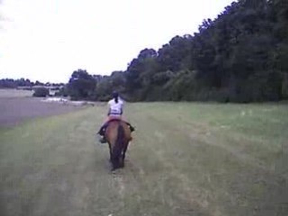 Au patit trot