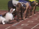 Les lapins crétins aux Jeux Olympiques : le 100 mètres