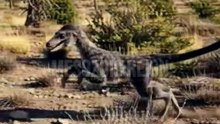 Buitreraptor: The Strange Raptor of Ancient Patagonia