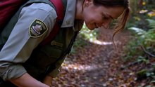 Bruno the Lost Baby Bear Cub 🐾 | Animal Rescue