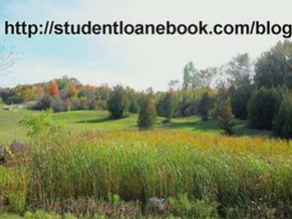 Loans Guide