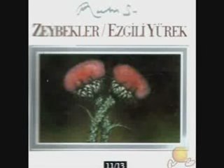 Ruhi Su Yine Bir Gariplik Düştü Üstüme