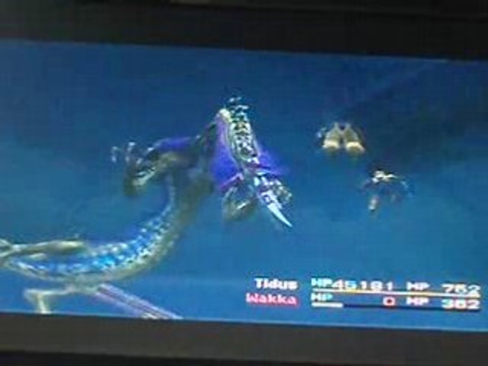 FINAL FANTASY X COMBAT SHINRYU