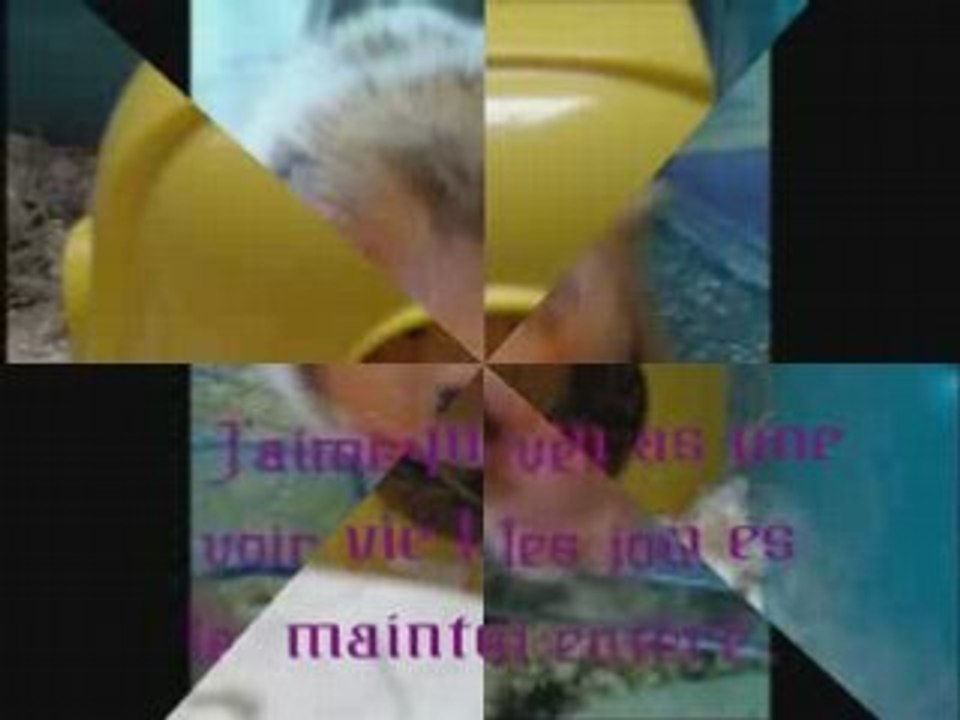Caramel mou