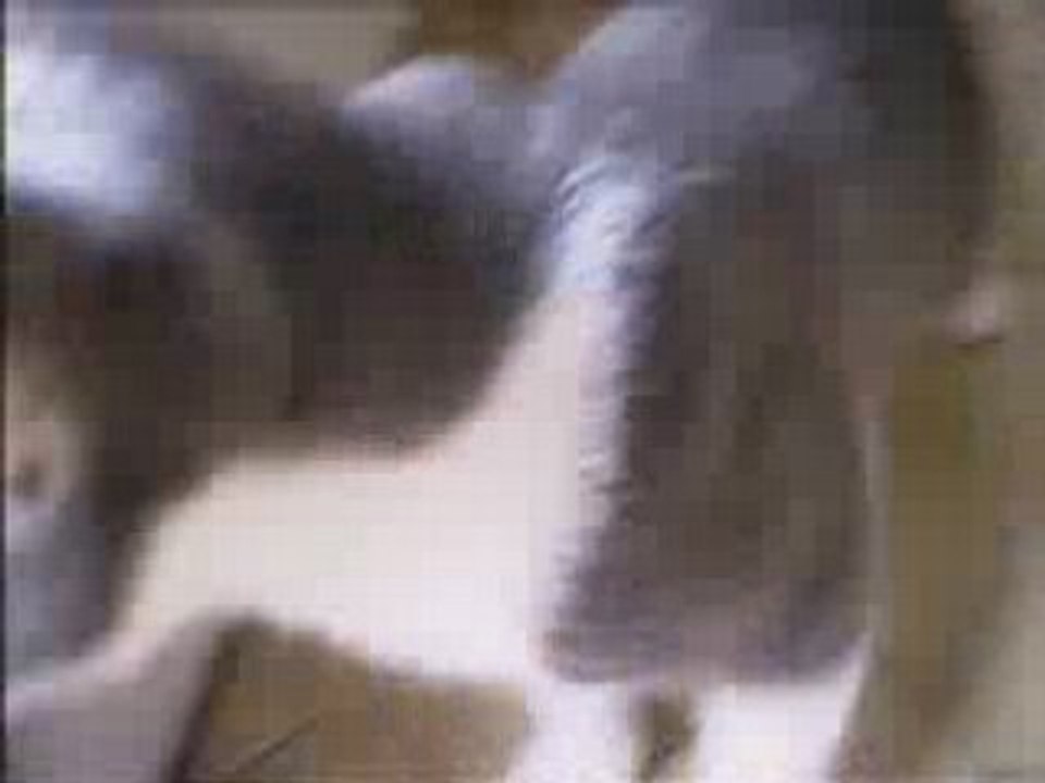 Lou__