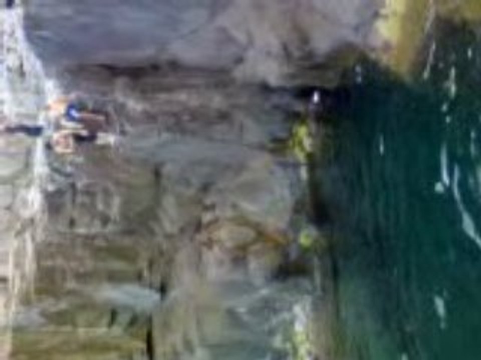 plongeon