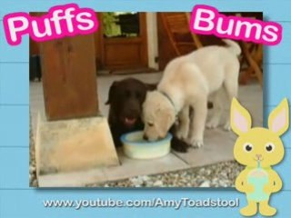 Ultra Kawaii - Brain Freeze Challenge