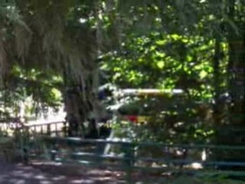 Cherie lucas cheval 3