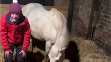Emotional moment as a woman meets her first homebred foal for the first time