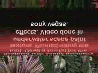 Maya 3d Paint Effects under water scene