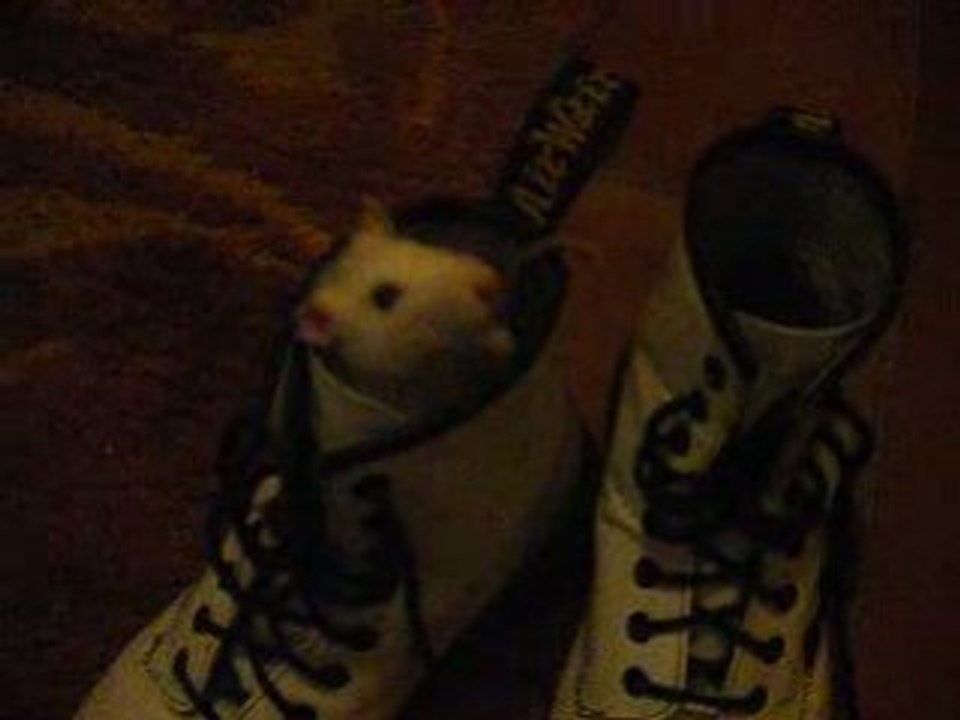 Shadow dans mes doc