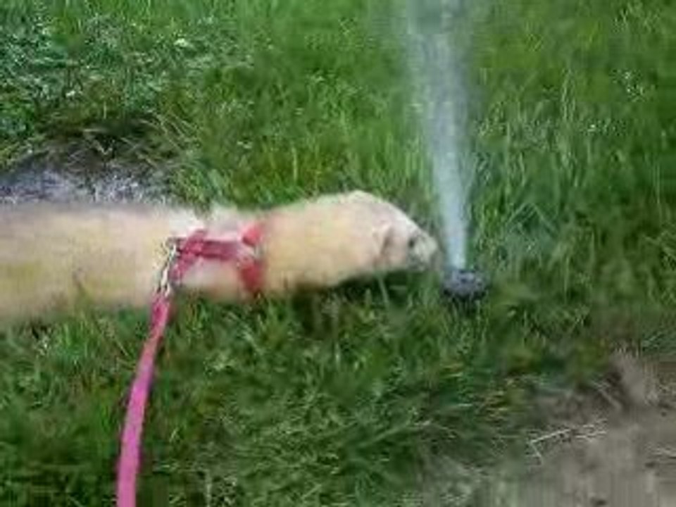 Chanel et l'eau