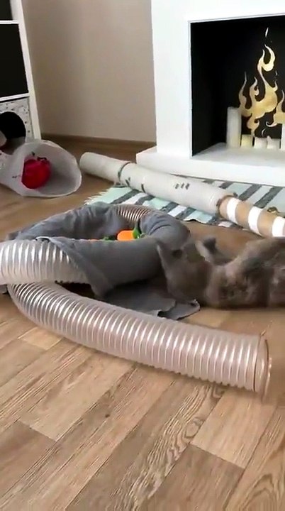 Playtime - video Dailymotion