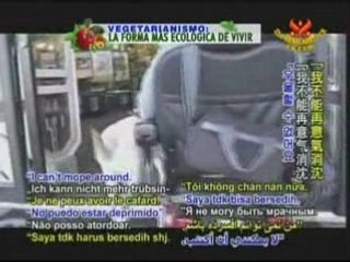 Animal Kin:Our Friends, Our Helpers,Our Benefactors-Part 1