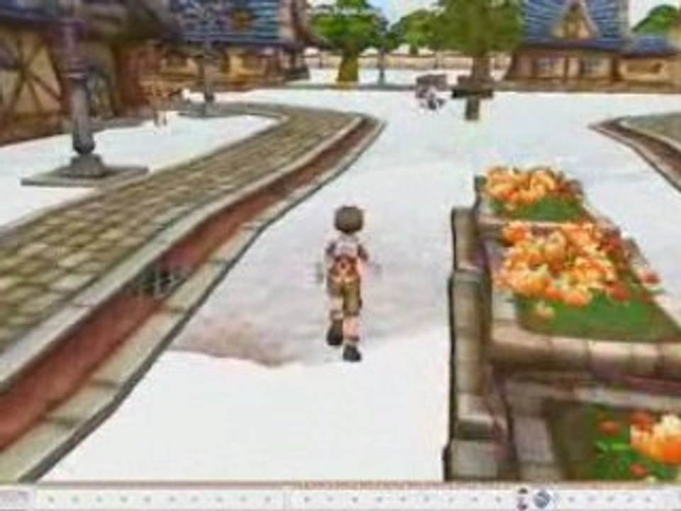 Bug époustouflant Flyff