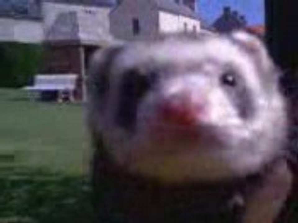 Vidéo015