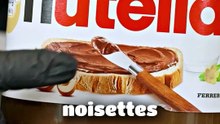 La vraie composition du Nutella !