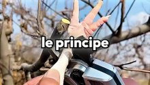 C'est quoi ces scies ?