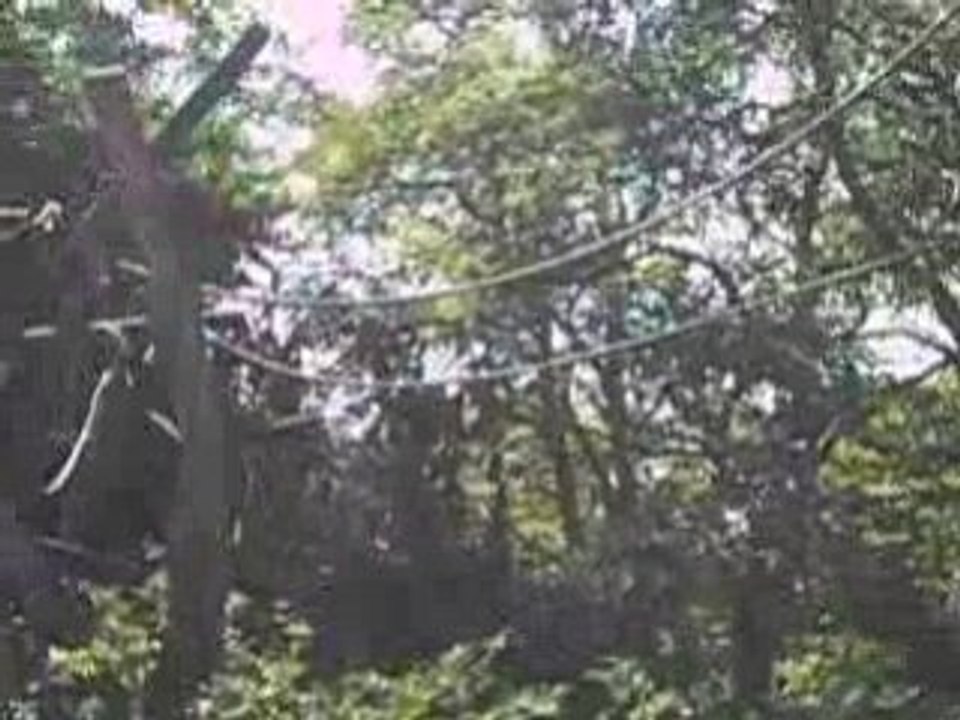 Zoo de Doue la Fontaine _ 49 _ 01